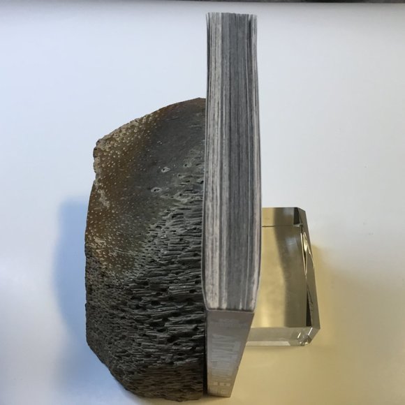 Attack on Titan #30 - Picture 4 of 7